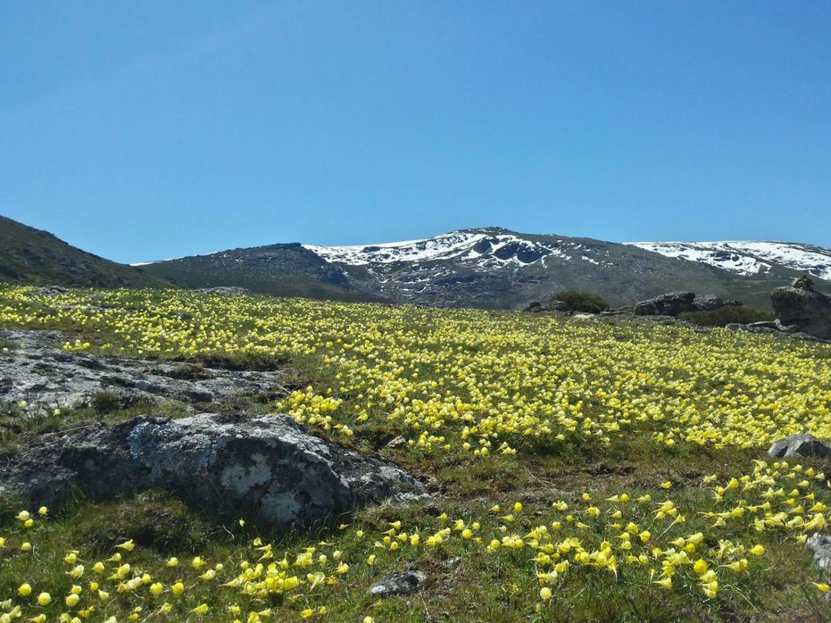 Apartamento Orgaz Candelario Exteriér fotografie