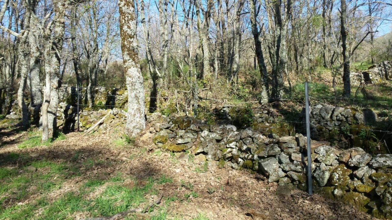 Apartamento Orgaz Candelario Exteriér fotografie